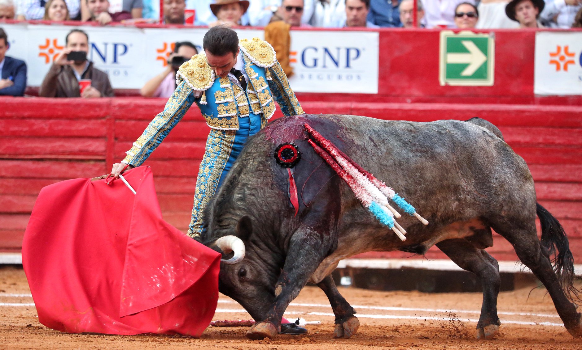 Martes, 5 de febrero de 2019. México D.F.