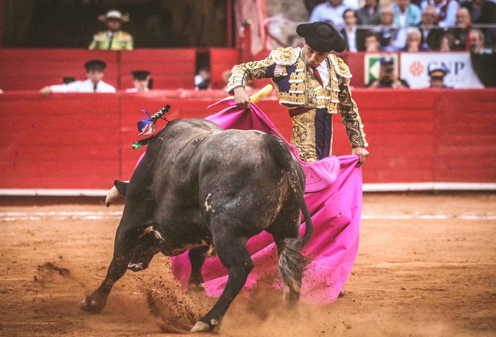 Martes, 5 de febrero de 2019. México D.F.