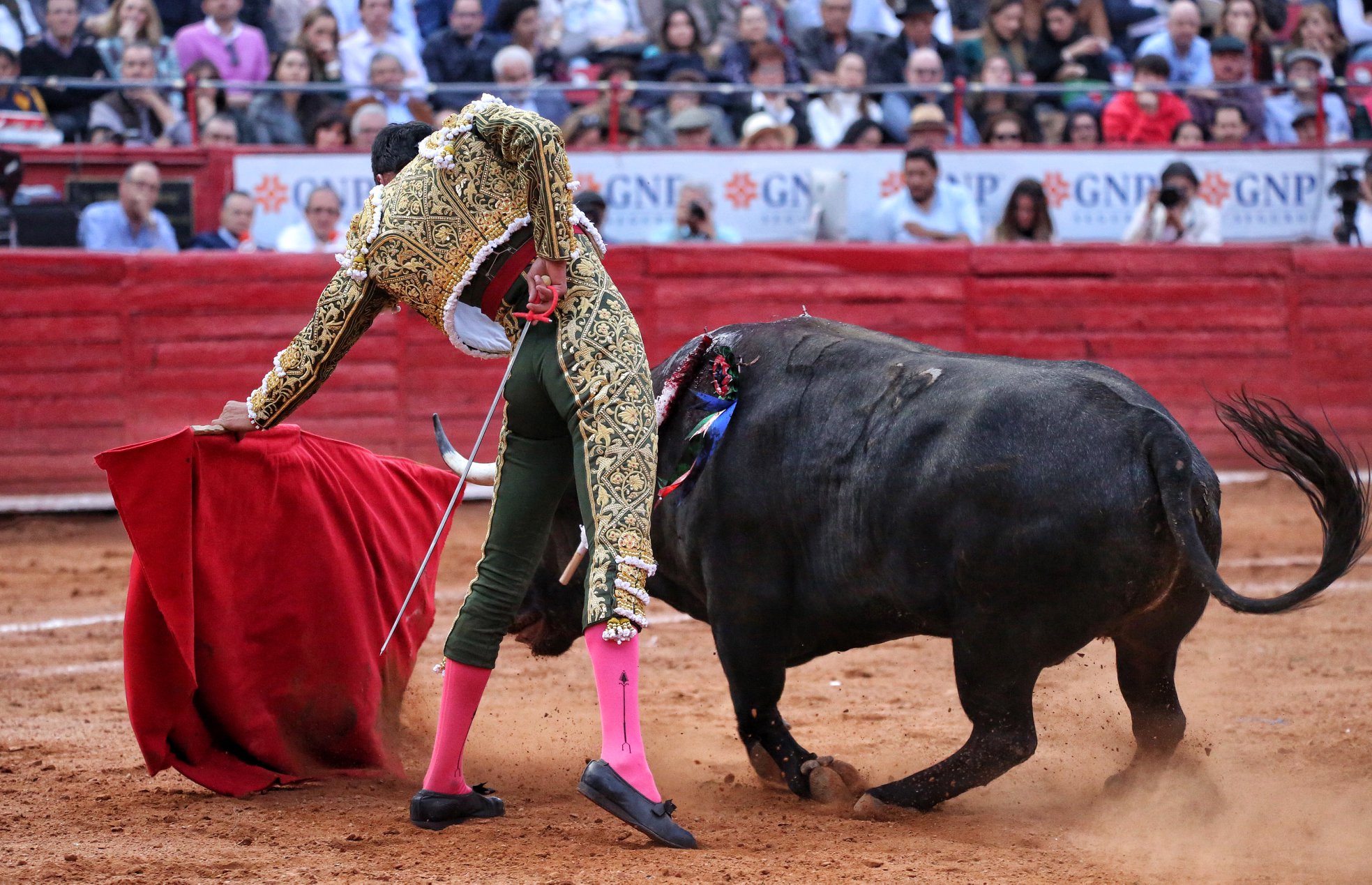 Martes, 5 de febrero de 2019. México D.F.