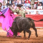 Martes, 5 de febrero de 2019. México D.F.