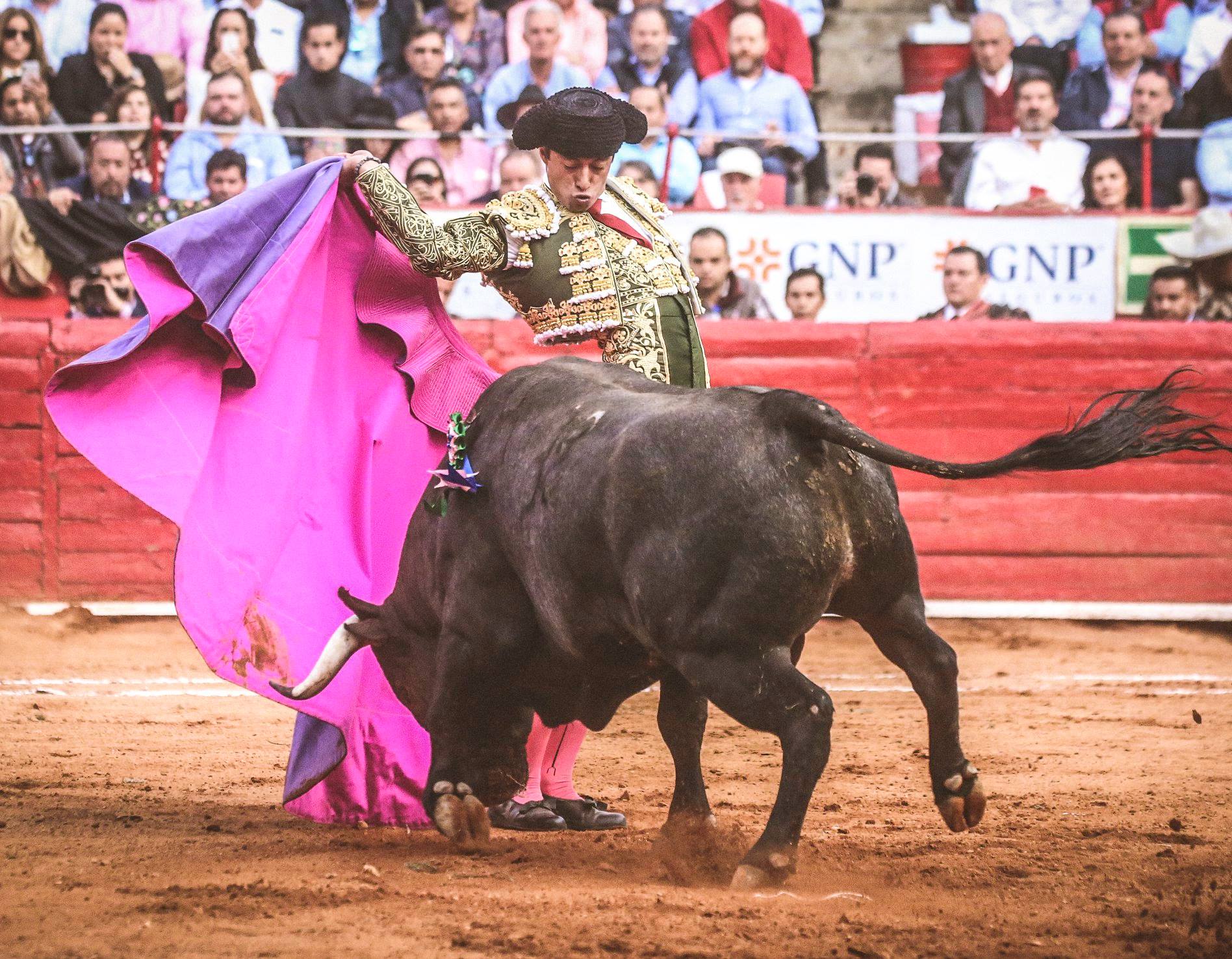 Martes, 5 de febrero de 2019. México D.F.