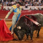 Martes, 5 de febrero de 2019. México D.F.