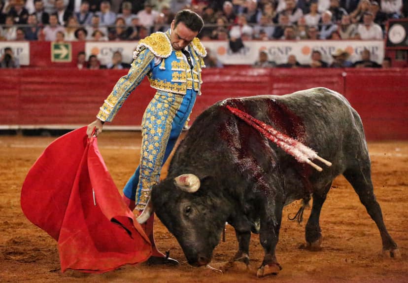 Martes, 5 de febrero de 2019. México D.F.