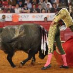 Martes, 5 de febrero de 2019. México D.F.