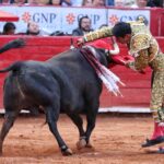 Martes, 5 de febrero de 2019. México D.F.