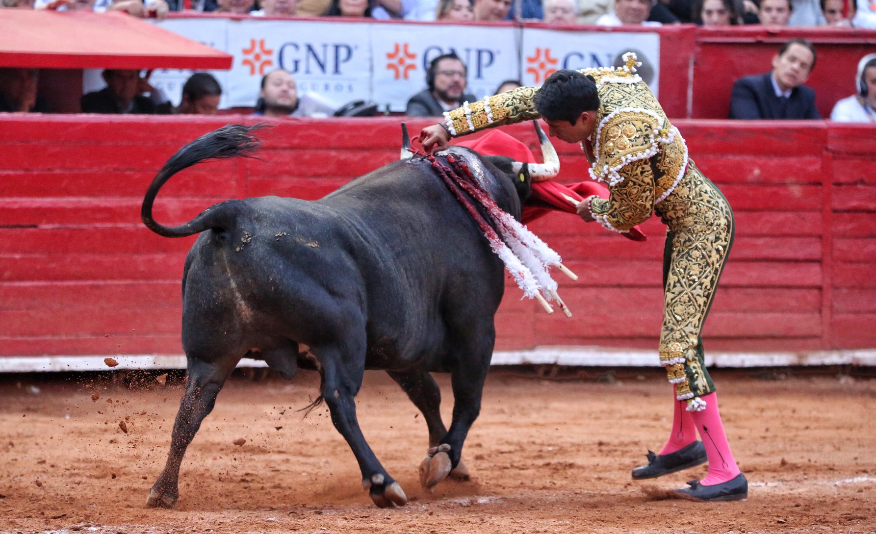 Martes, 5 de febrero de 2019. México D.F.