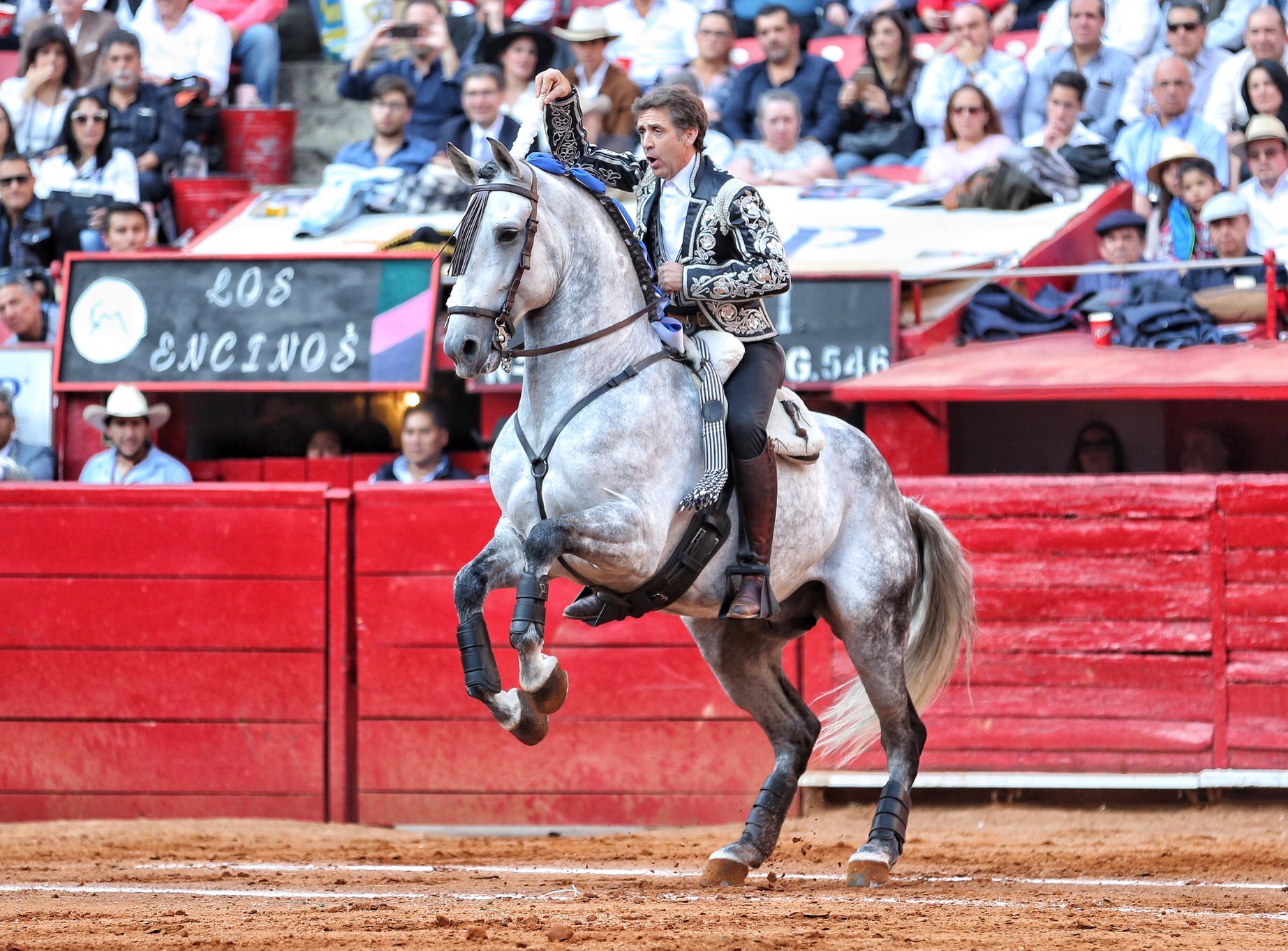 Martes, 5 de febrero de 2019. México D.F.