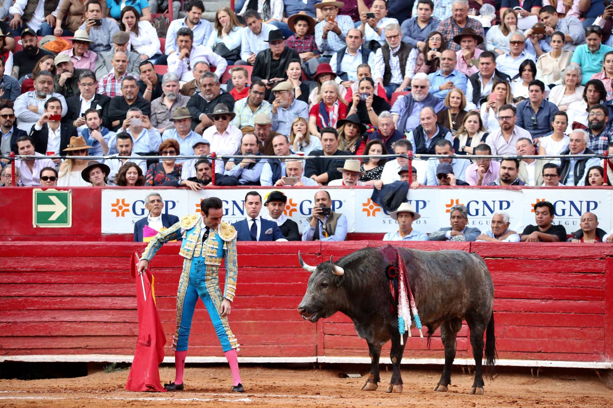 Martes, 5 de febrero de 2019. México D.F.