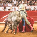 Martes, 5 de febrero de 2019. México D.F.