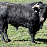 57-Malaguito, de Puerto de San Lorenzo