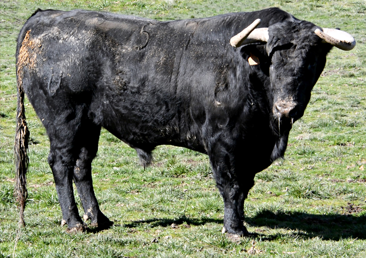 57-Malaguito, de Puerto de San Lorenzo