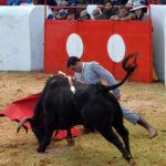 Mourao, 1 de febrero de 2019