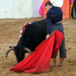 Mourao, 1 de febrero de 2019