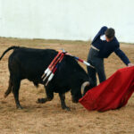 Mourao, 1 de febrero de 2019