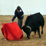 Mourao, 1 de febrero de 2019