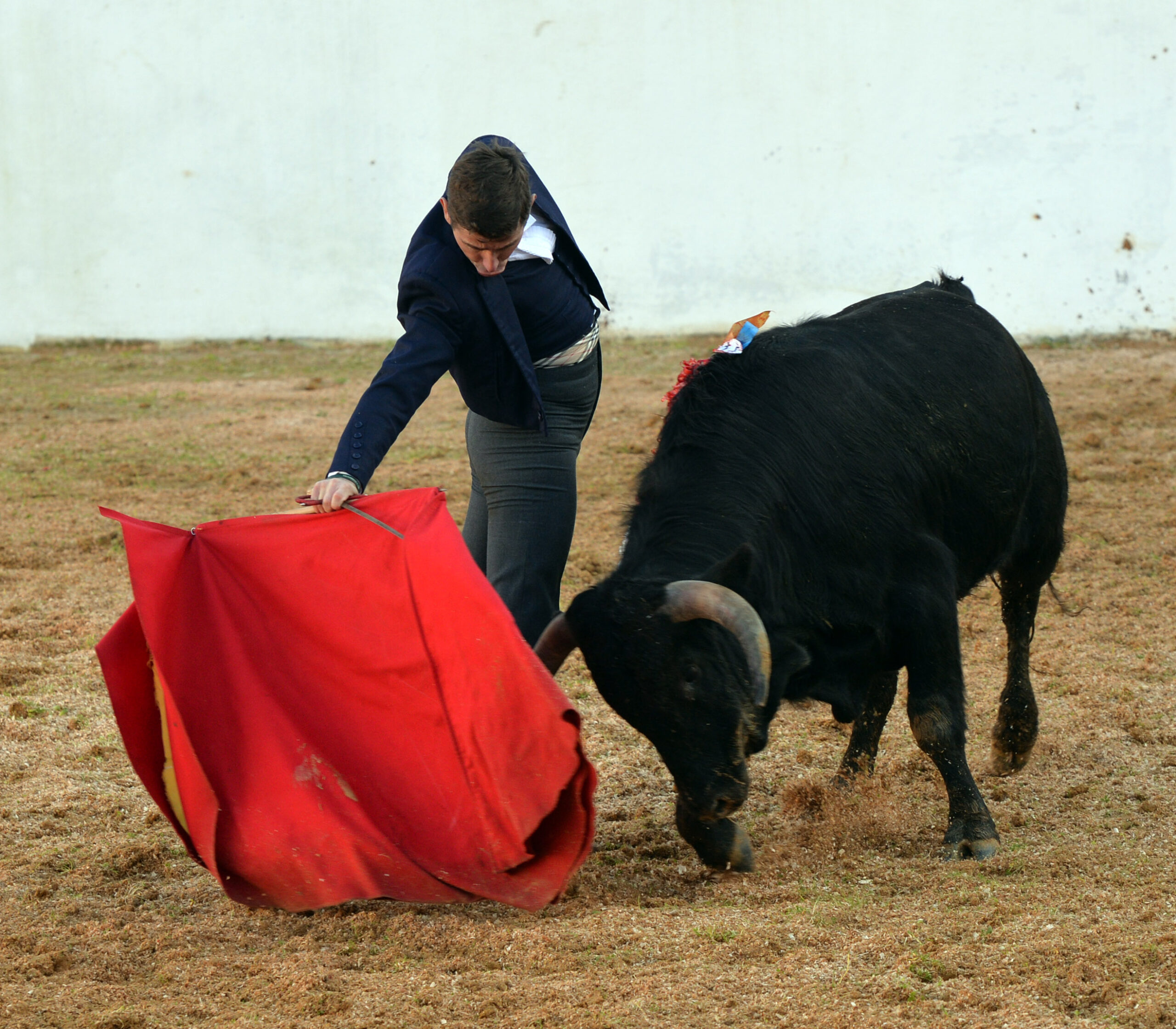 Mourao, 1 de febrero de 2019