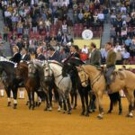 Lisboa, 23 de febrero de 2019. Día de la Tauromaquia