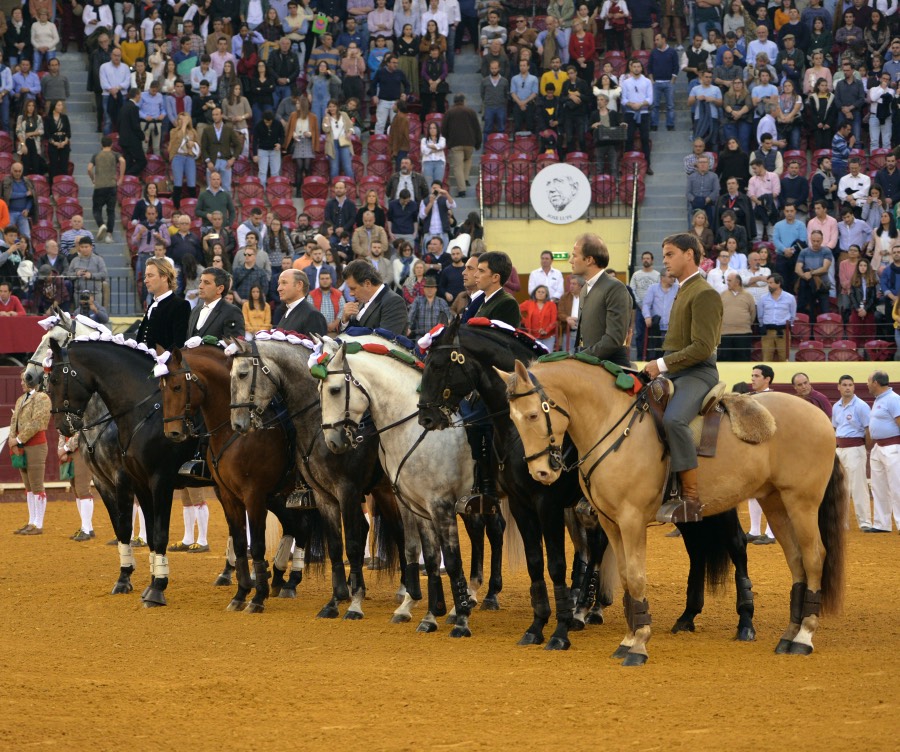 Lisboa, 23 de febrero de 2019. Día de la Tauromaquia