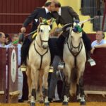 Lisboa, 23 de febrero de 2019. Día de la Tauromaquia