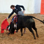 Mourao, 1 de febrero de 2019