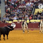 Lisboa, 23 de febrero de 2019. Día de la Tauromaquia