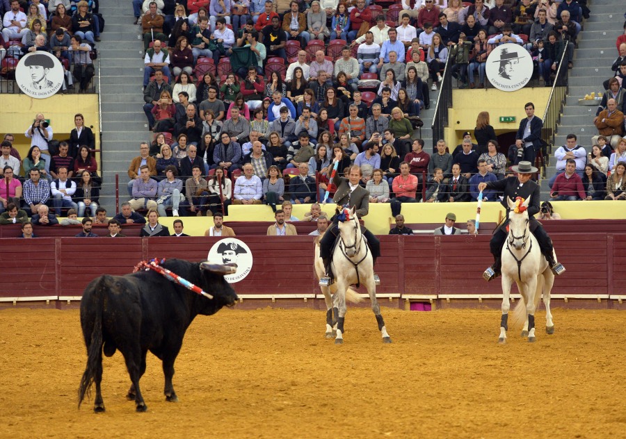 Lisboa, 23 de febrero de 2019. Día de la Tauromaquia