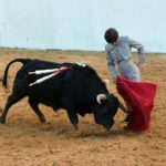 Mourao, 1 de febrero de 2019