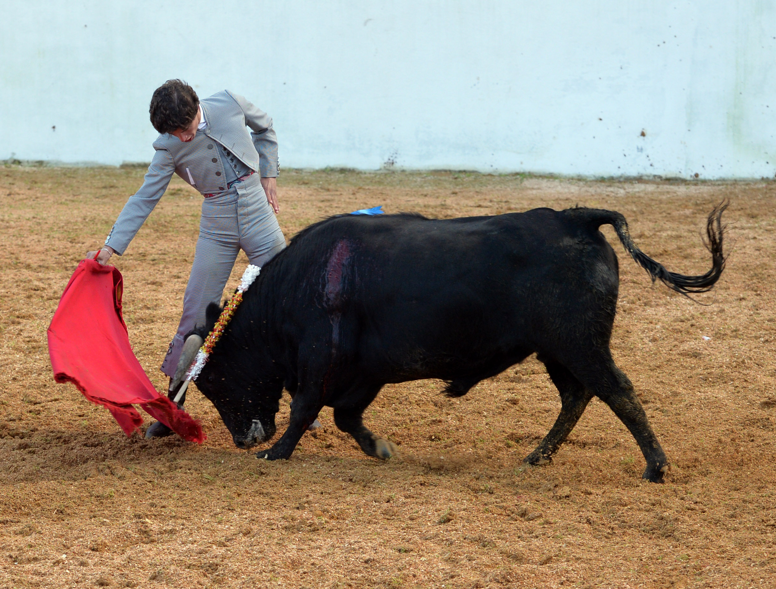 Mourao, 1 de febrero de 2019