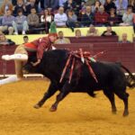 Lisboa, 23 de febrero de 2019. Día de la Tauromaquia