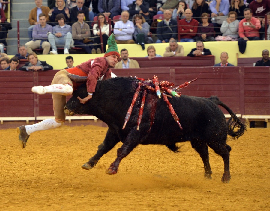 Lisboa, 23 de febrero de 2019. Día de la Tauromaquia
