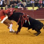 Lisboa, 23 de febrero de 2019. Día de la Tauromaquia