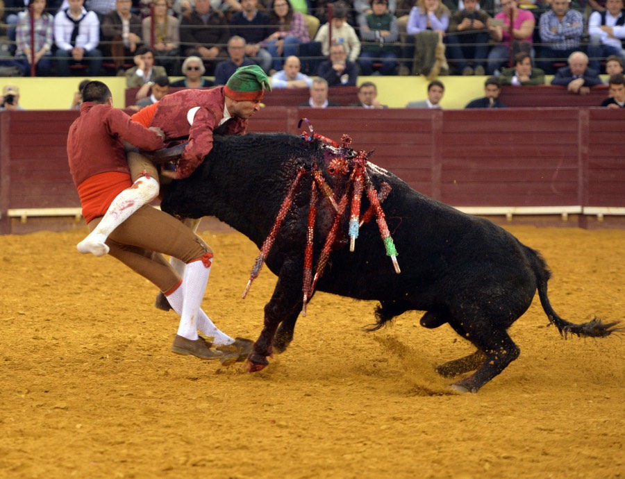 Lisboa, 23 de febrero de 2019. Día de la Tauromaquia