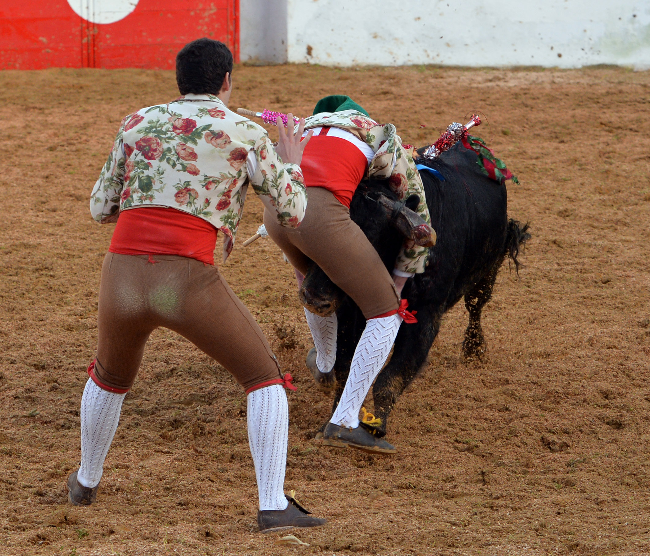 Mourao, 1 de febrero de 2019