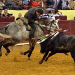 Lisboa, 23 de febrero de 2019. Día de la Tauromaquia