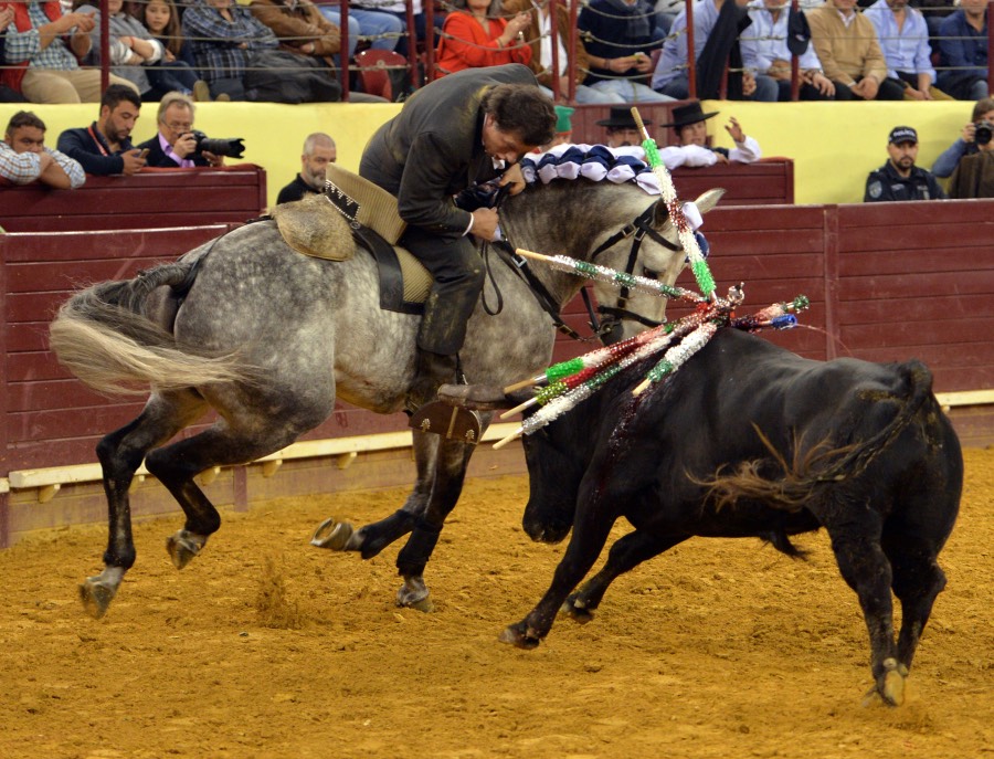 Lisboa, 23 de febrero de 2019. Día de la Tauromaquia