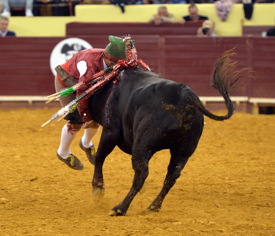 Lisboa, 23 de febrero de 2019. Día de la Tauromaquia