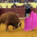 Lisboa, 23 de febrero de 2019. Día de la Tauromaquia