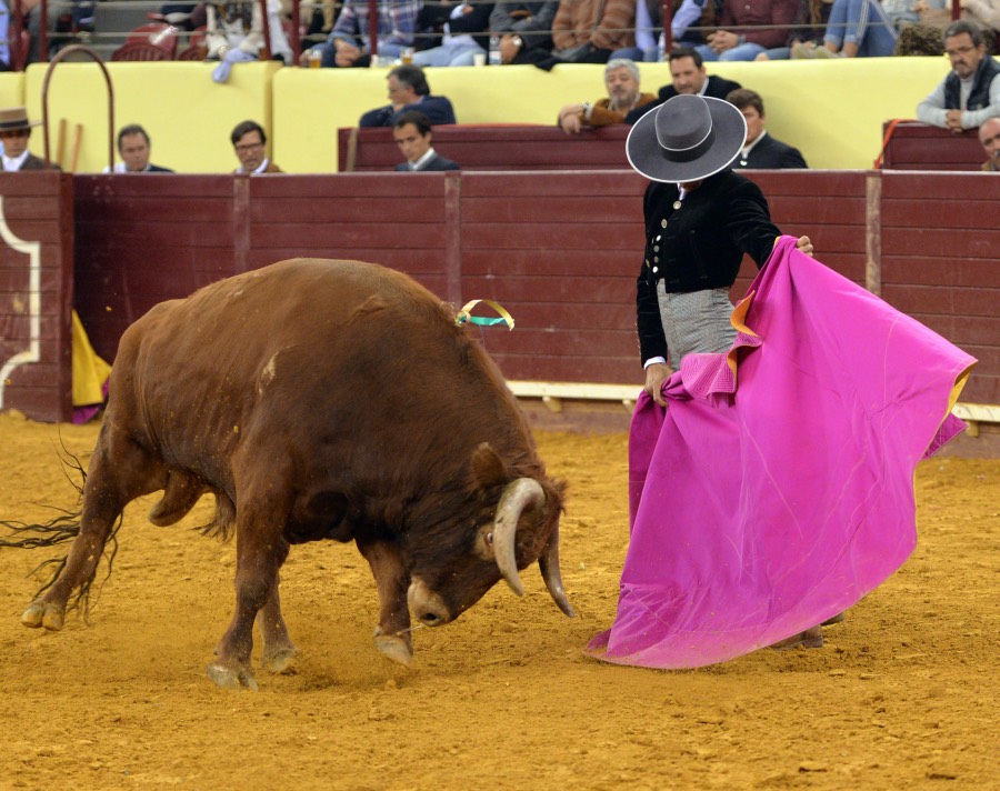 Lisboa, 23 de febrero de 2019. Día de la Tauromaquia