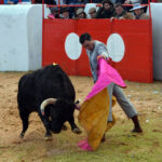 Mourao, 1 de febrero de 2019