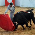 Mourao, 1 de febrero de 2019