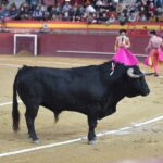 Valdemorillo, sábado 9 de febrero de 2019