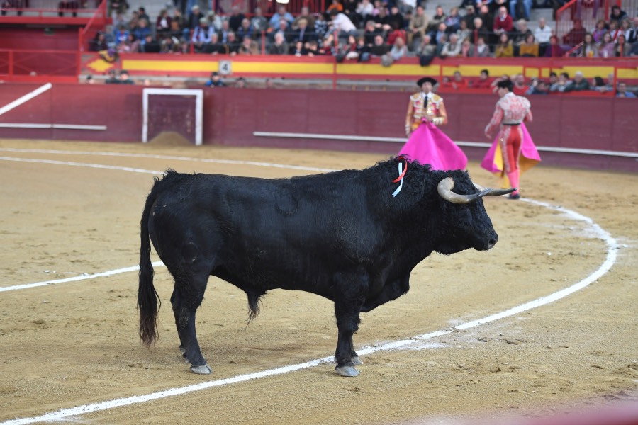 Valdemorillo, sábado 9 de febrero de 2019