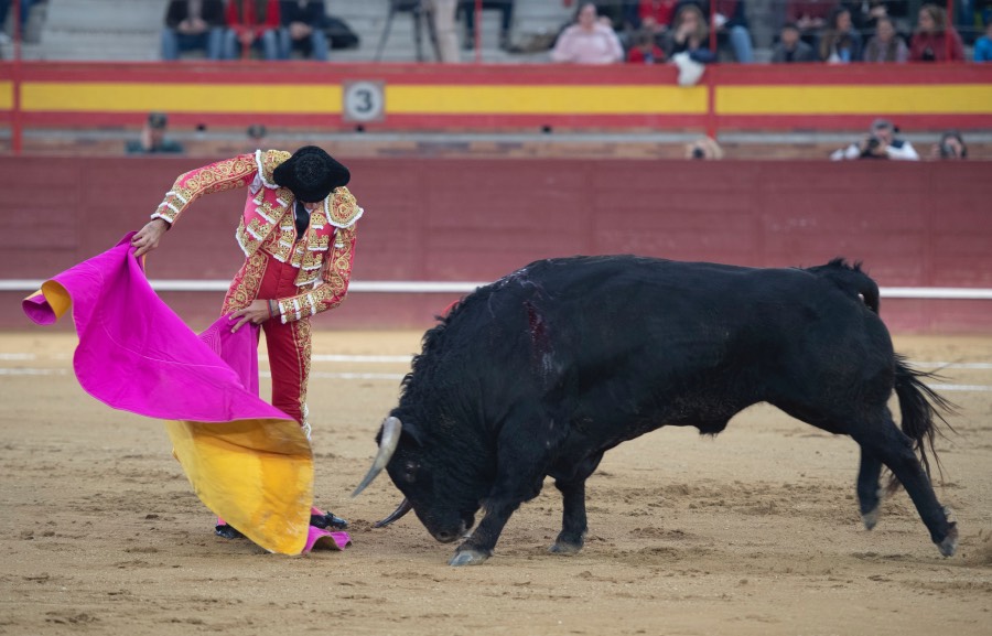 Valdemorillo, sábado 9 de febrero de 2019