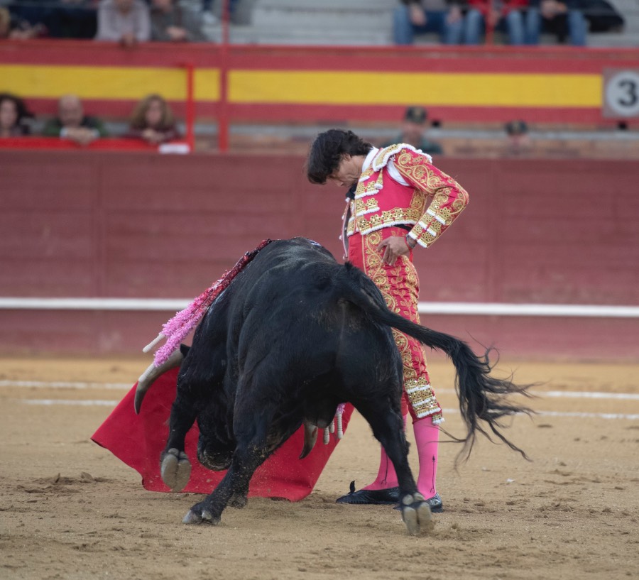 Valdemorillo, sábado 9 de febrero de 2019