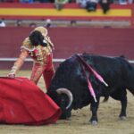 Valdemorillo, sábado 9 de febrero de 2019