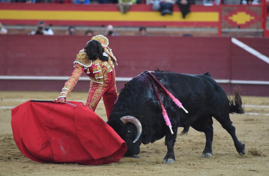 Valdemorillo, sábado 9 de febrero de 2019