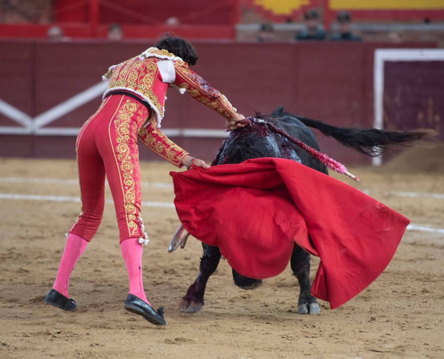 Valdemorillo, sábado 9 de febrero de 2019