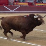 Valdemorillo, sábado 9 de febrero de 2019