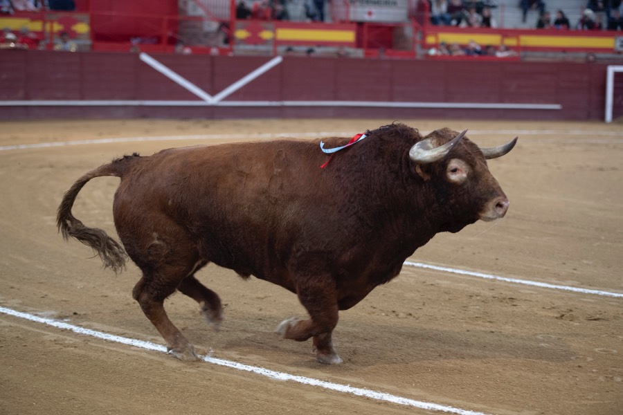 Valdemorillo, sábado 9 de febrero de 2019