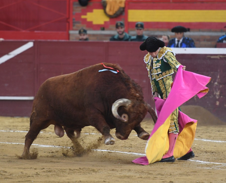 Valdemorillo, sábado 9 de febrero de 2019